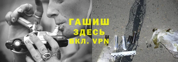 хмурый Арсеньев