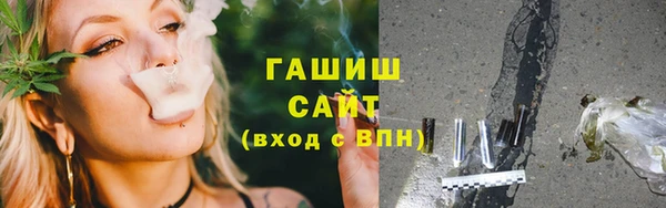 хмурый Арсеньев