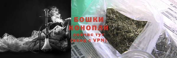хмурый Арсеньев