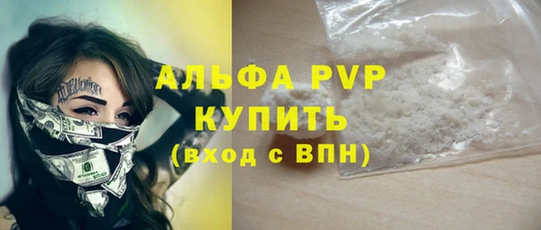 хмурый Арсеньев