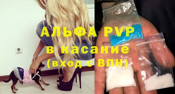 хмурый Арсеньев