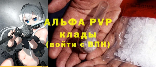 хмурый Арсеньев