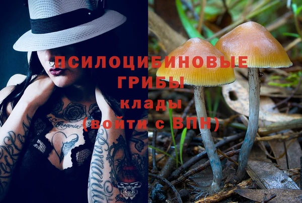 хмурый Арсеньев