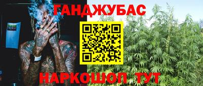 дживик Кингисепп