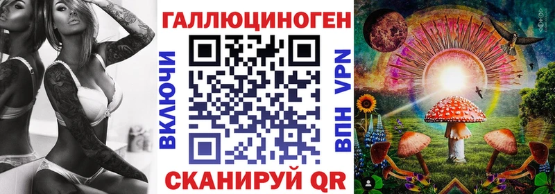 кракен ТОР  Кунгур  Псилоцибиновые грибы Cubensis 