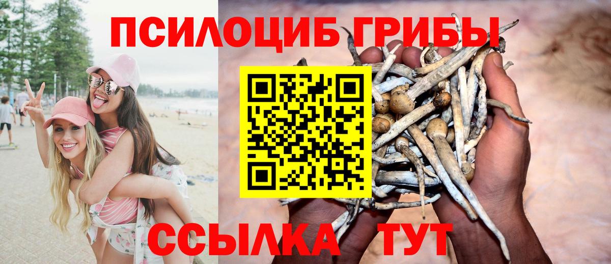 Галлюциногенные грибы Cubensis Кунгур